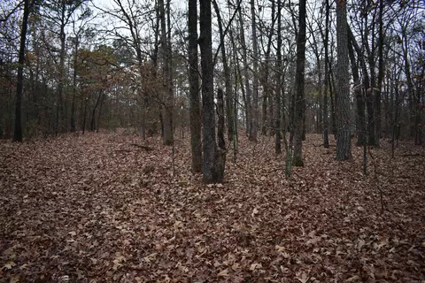 0000 Old Creek Rd, Scranton, AR 72863 photo 22