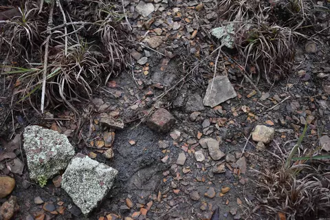 0000 Old Creek Rd, Scranton, AR 72863 photo 38