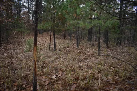 0000 Old Creek Rd, Scranton, AR 72863 photo 25