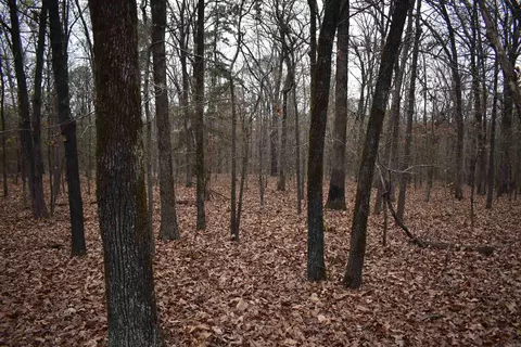 0000 Old Creek Rd, Scranton, AR 72863 photo 28