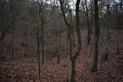 0000 Old Creek Rd, Scranton, AR 72863 photo 35