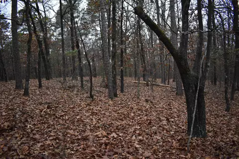 0000 Old Creek Rd, Scranton, AR 72863 photo 27
