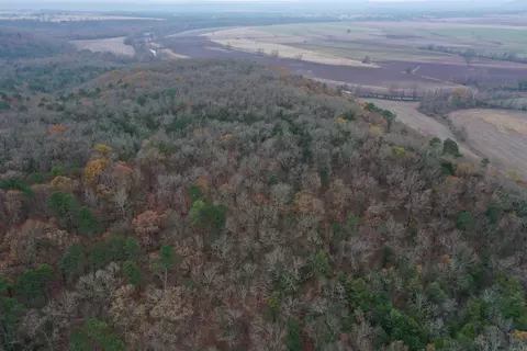 0000 Old Creek Rd, Scranton, AR 72863 photo 6