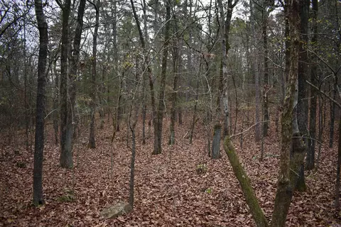 0000 Old Creek Rd, Scranton, AR 72863 photo 32