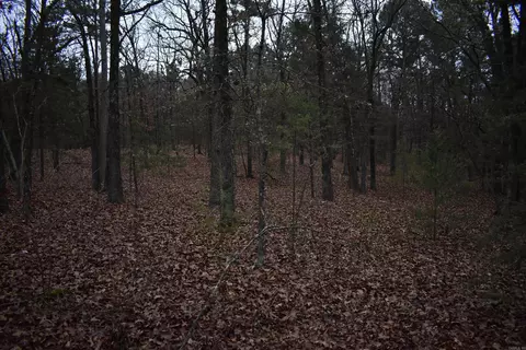 0000 Old Creek Rd, Scranton, AR 72863 photo 41