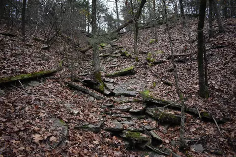 0000 Old Creek Rd, Scranton, AR 72863 photo 36