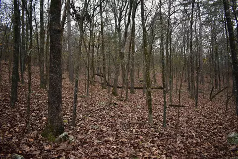 0000 Old Creek Rd, Scranton, AR 72863 photo 31