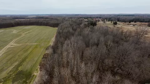 2 Cr 41, Rector, AR 72461 photo 21