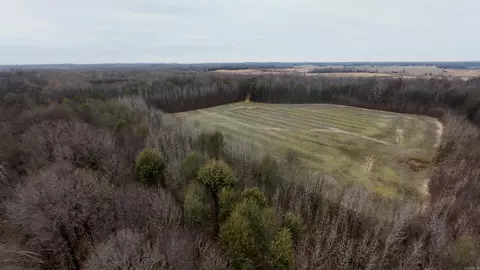 2 Cr 41, Rector, AR 72461 photo 18