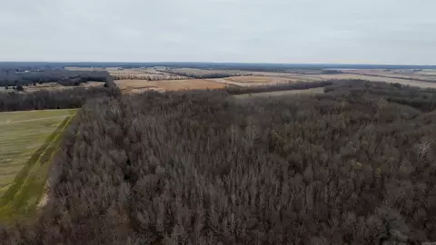 2 Cr 41, Rector, AR 72461 photo 29