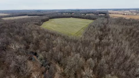 2 Cr 41, Rector, AR 72461 photo 28