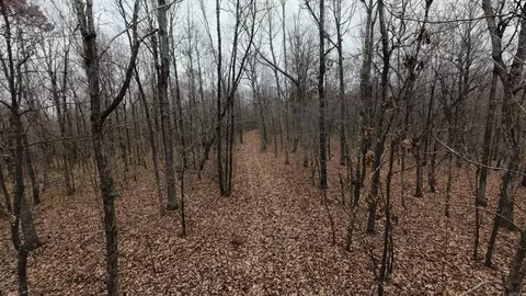 2 Cr 41, Rector, AR 72461 photo 13