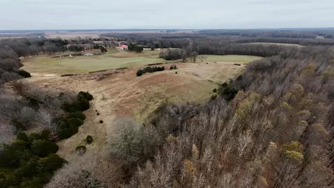 2 Cr 41, Rector, AR 72461 photo 35