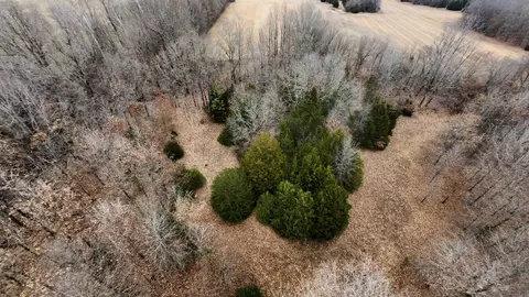 2 Cr 41, Rector, AR 72461 photo 33