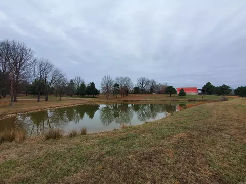 2 Cr 41, Rector, AR 72461 photo 46