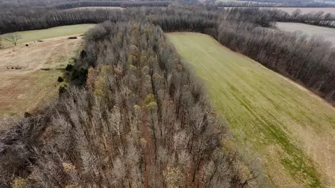 2 Cr 41, Rector, AR 72461 photo 34