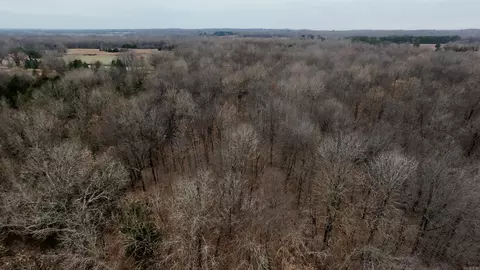 2 Cr 41, Rector, AR 72461 photo 10