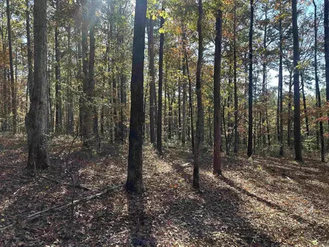 tbd Dirt Dobber Rd, Bauxite, AR 72011 photo 3