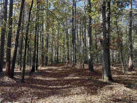tbd Dirt Dobber Rd, Bauxite, AR 72011 photo 2