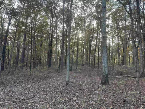 tbd Dirt Dobber Rd, Bauxite, AR 72011 photo 6