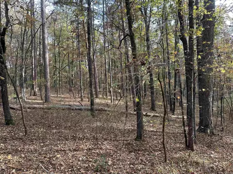 tbd Dirt Dobber Rd, Bauxite, AR 72011 photo 5