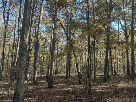 tbd Dirt Dobber Rd, Bauxite, AR 72011