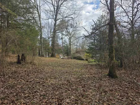 Exterior - 487 Polk Road 34, Hatfield, AR 71945 photo 13 of 22