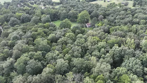 View/Area - 487 Polk Road 34, Hatfield, AR 71945 photo 2 of 5