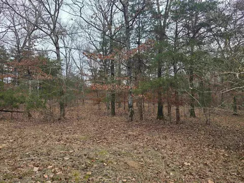 Other - 487 Polk Road 34, Hatfield, AR 71945 photo 7 of 9
