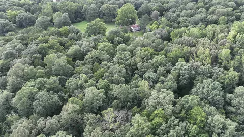View/Area - 487 Polk Road 34, Hatfield, AR 71945 photo 3 of 5