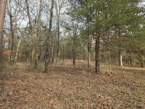 Exterior - 487 Polk Road 34, Hatfield, AR 71945 photo 12 of 22