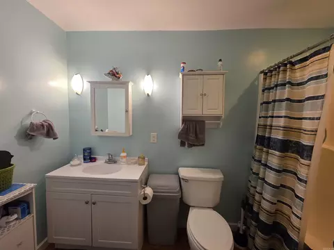 Bath - 487 Polk Road 34, Hatfield, AR 71945 photo 3 of 4