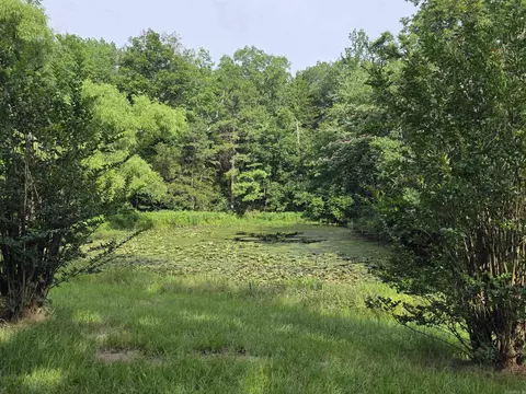 Exterior - 487 Polk Road 34, Hatfield, AR 71945 photo 9 of 22