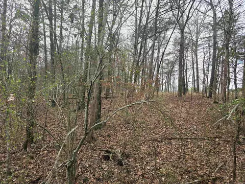 Other - 487 Polk Road 34, Hatfield, AR 71945 photo 3 of 9