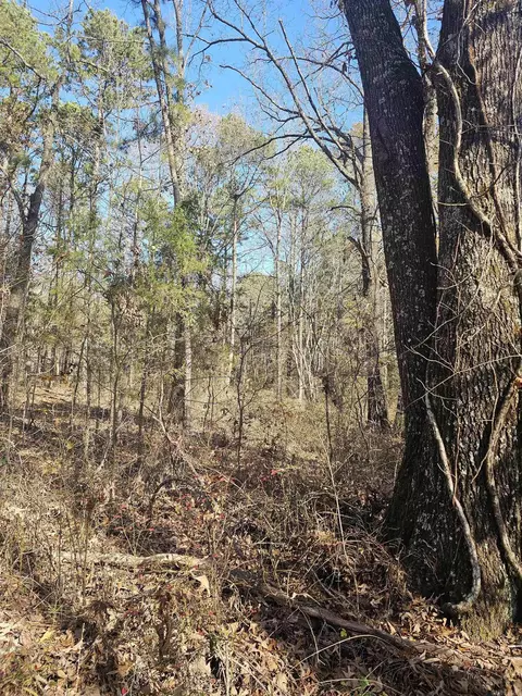 Unk Gilbert, Mena, AR 71953 photo 5