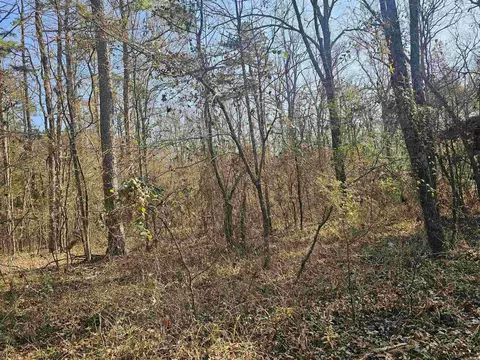 Unk Gilbert, Mena, AR 71953 photo 2