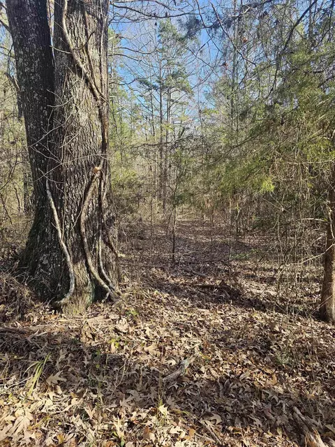 Unk Gilbert, Mena, AR 71953 photo 4