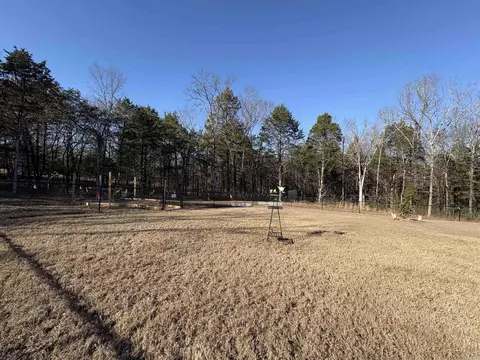 37 Forest Cv, Greenbrier, AR 72058 photo 37