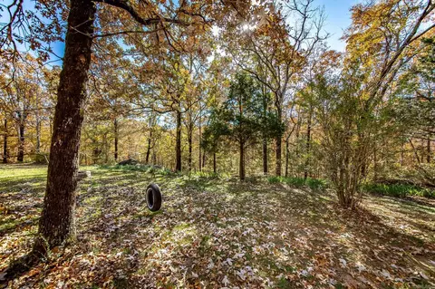 917 Lewisburg Rd, Austin, AR 72007 photo 5