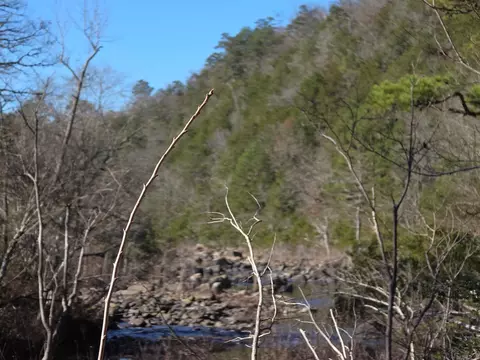 tbd To Be Named, Gillham, AR 71841