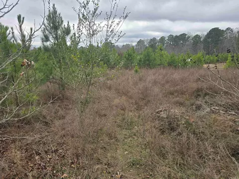 tbd Wilson Lake Ln, Hot Springs, AR 71901
