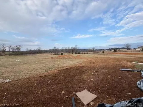 10 Republican Meadow Ln, Greenbrier, AR 72058 photo 46