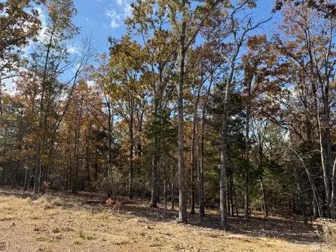 42 Summer Sky Dr, Greenbrier, AR 72058 photo 3