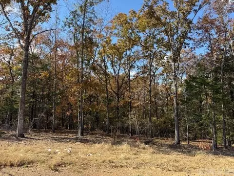 42 Summer Sky Dr, Greenbrier, AR 72058 photo 2