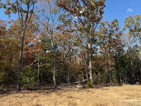 42 Summer Sky Dr, Greenbrier, AR 72058