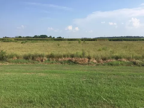 lot31 Toltec Mounds Rd, England, AR 72046