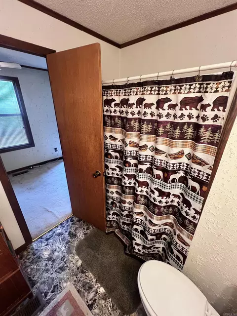 1695 Chicot Trl, Bismarck, AR 71929 photo 30