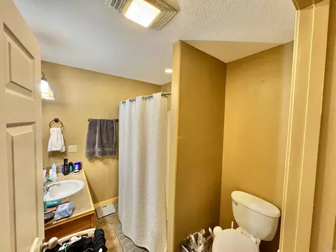 Bath - 604 Frances Cove Apts A-d, Mountain View, AR 72560 photo 9 of 11