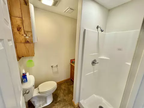 Bath - 604 Frances Cove Apts A-d, Mountain View, AR 72560 photo 6 of 11