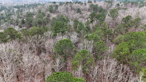 249 Polk Road 48, Mena, AR 71953 photo 8